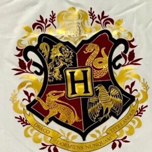Universal Parks Hogwarts Vneck shirt